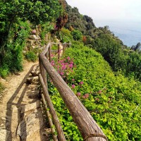 Traseu Monterosso - Vernazza, Cinque Terre