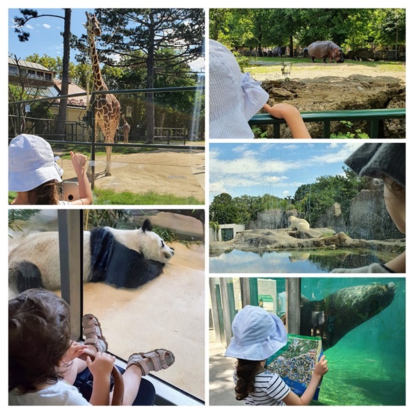 Zoo Schonbrunn Viena cu copiii